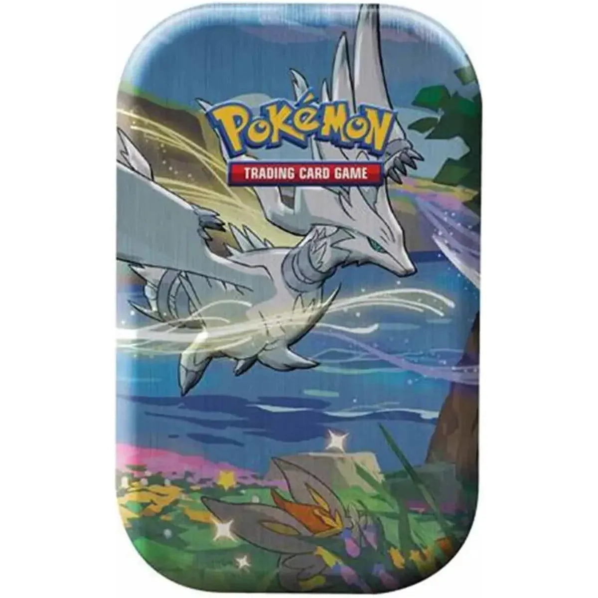 Pokémon Sword & Shield Shining Fates zufällige Mini Tin (englisch)